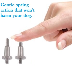 Spring Probes That Are Comfotable And Safe For Pet Fence Collars
